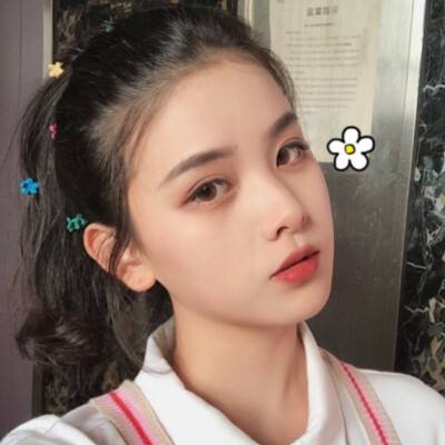 维特之旅手机版下载